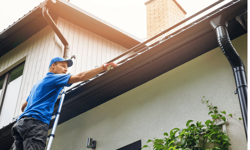 6 Reasons to Clean Your Roof