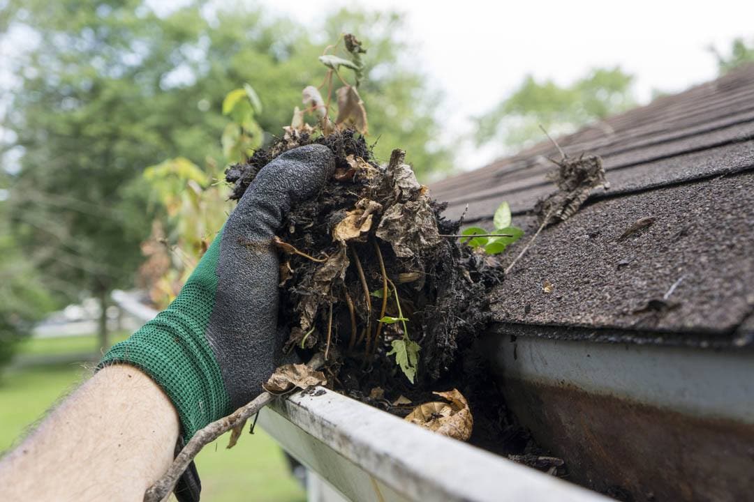 Gutter Cleaning in Fort Valley, GA
